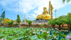 Experience Ben Tre’s culture with guided tours